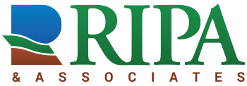Logotipo de Ripa Associate