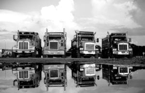 A fleet of Whitney Logistic's Dump Trucks in a row